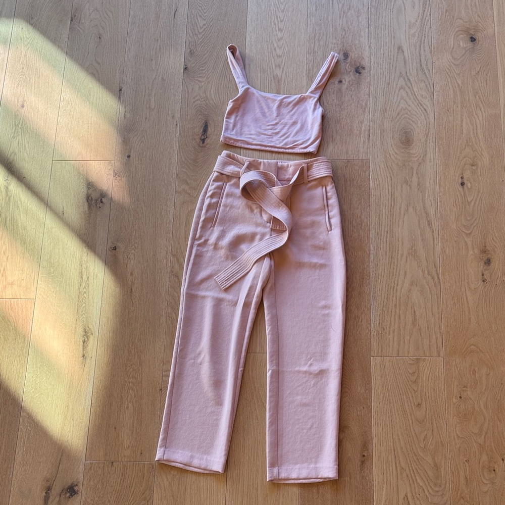 Aritzia / Wilfred - Tie Front Pink Pant Set
